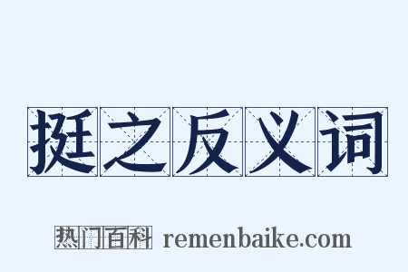 挺之反义词是什么意思的图片